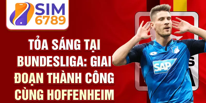 Tỏa sáng tại Bundesliga: giai đoạn thành công cùng Hoffenheim