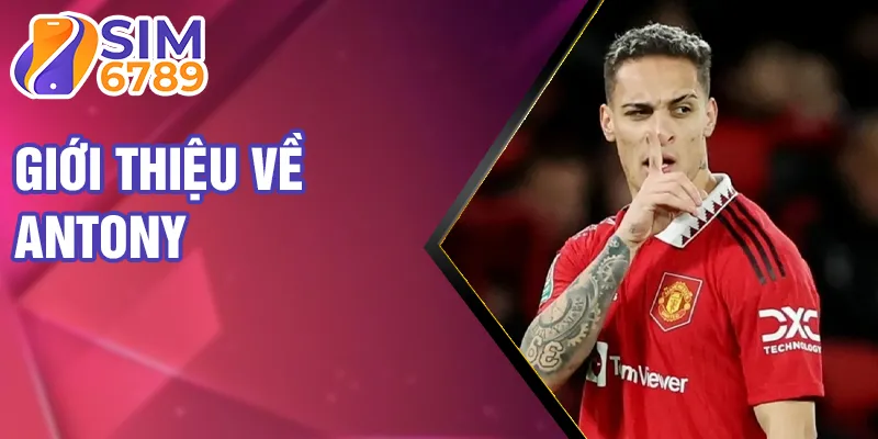 Giới thiệu về antony