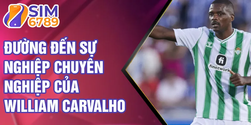 Đường đến sự nghiệp chuyên nghiệp của William Carvalho