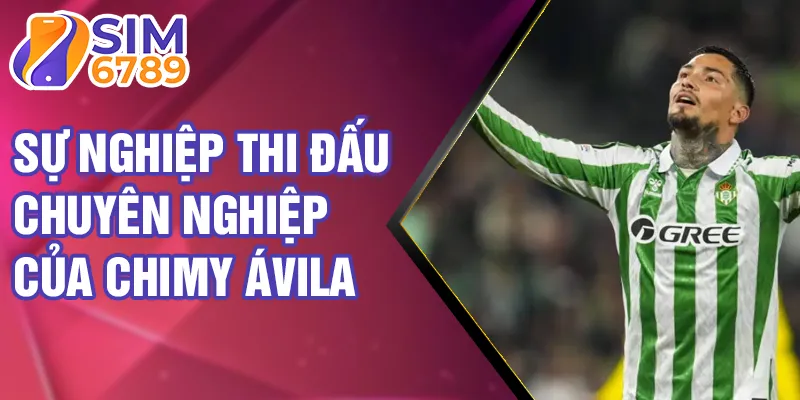 Sự nghiệp thi đấu chuyên nghiệp của Chimy Ávila